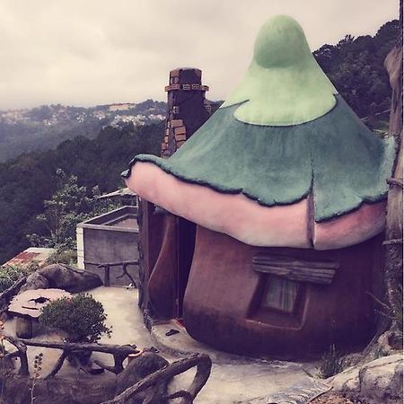 Homestay Nang Xanh Đà Lạt Ngoại thất bức ảnh