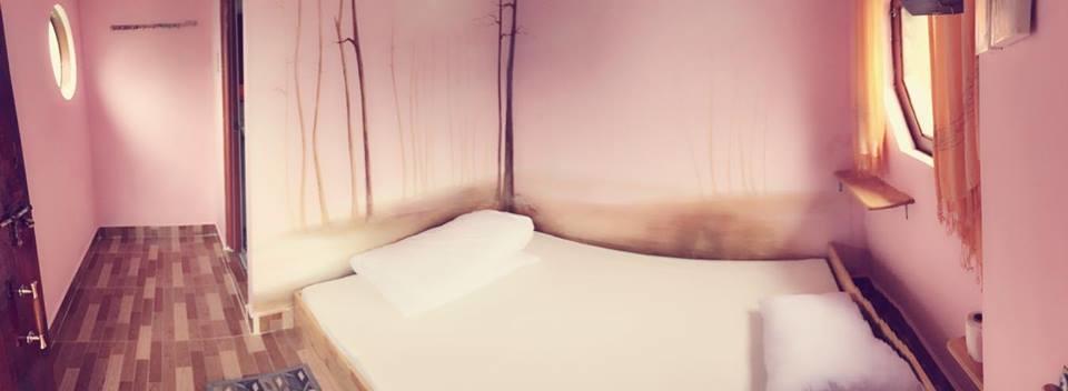Homestay Nang Xanh Đà Lạt Ngoại thất bức ảnh