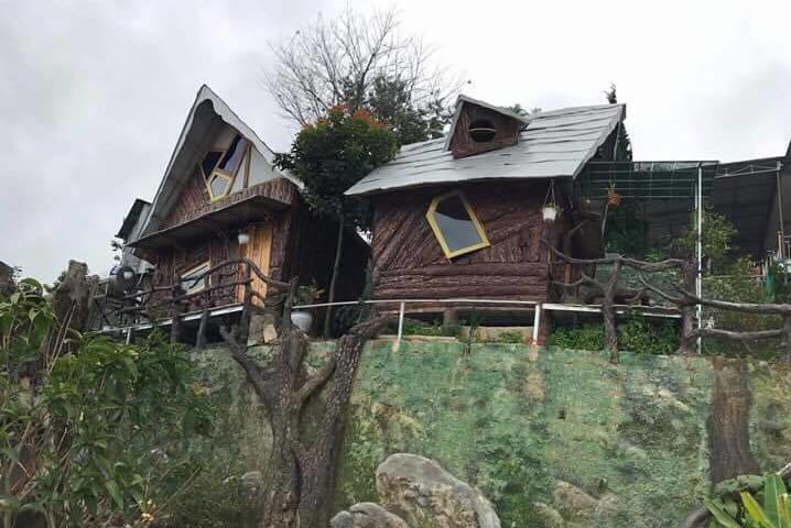 Homestay Nang Xanh Đà Lạt Ngoại thất bức ảnh